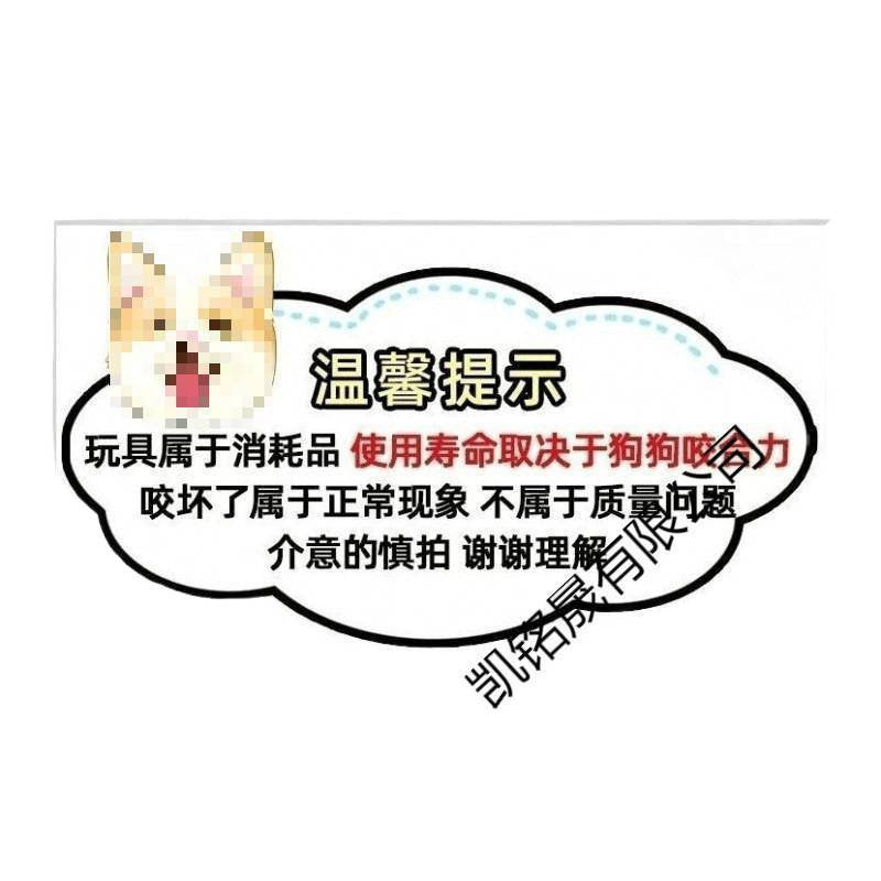 Puppy dog toy dog bite-resistant football corgi small large dog interactive pet ball delivery wholesale insurance