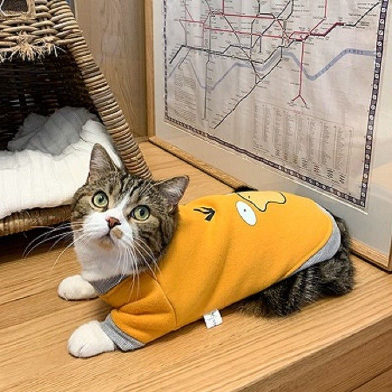 Handsome cat clothes autumn and winter clothes anti-hair loss and velvet warm kitten cloth blue cat kitten autumn and winter models