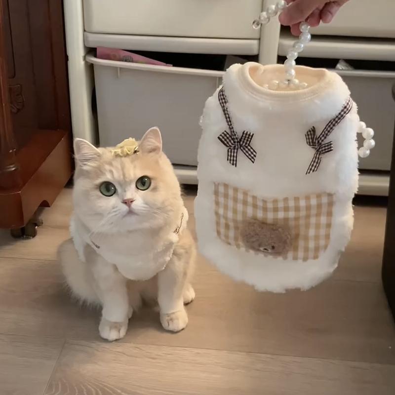 Cat clothes autumn and winter anti-hair loss warm velvet vest British short ragdoll cat blue cat pet cat clothes