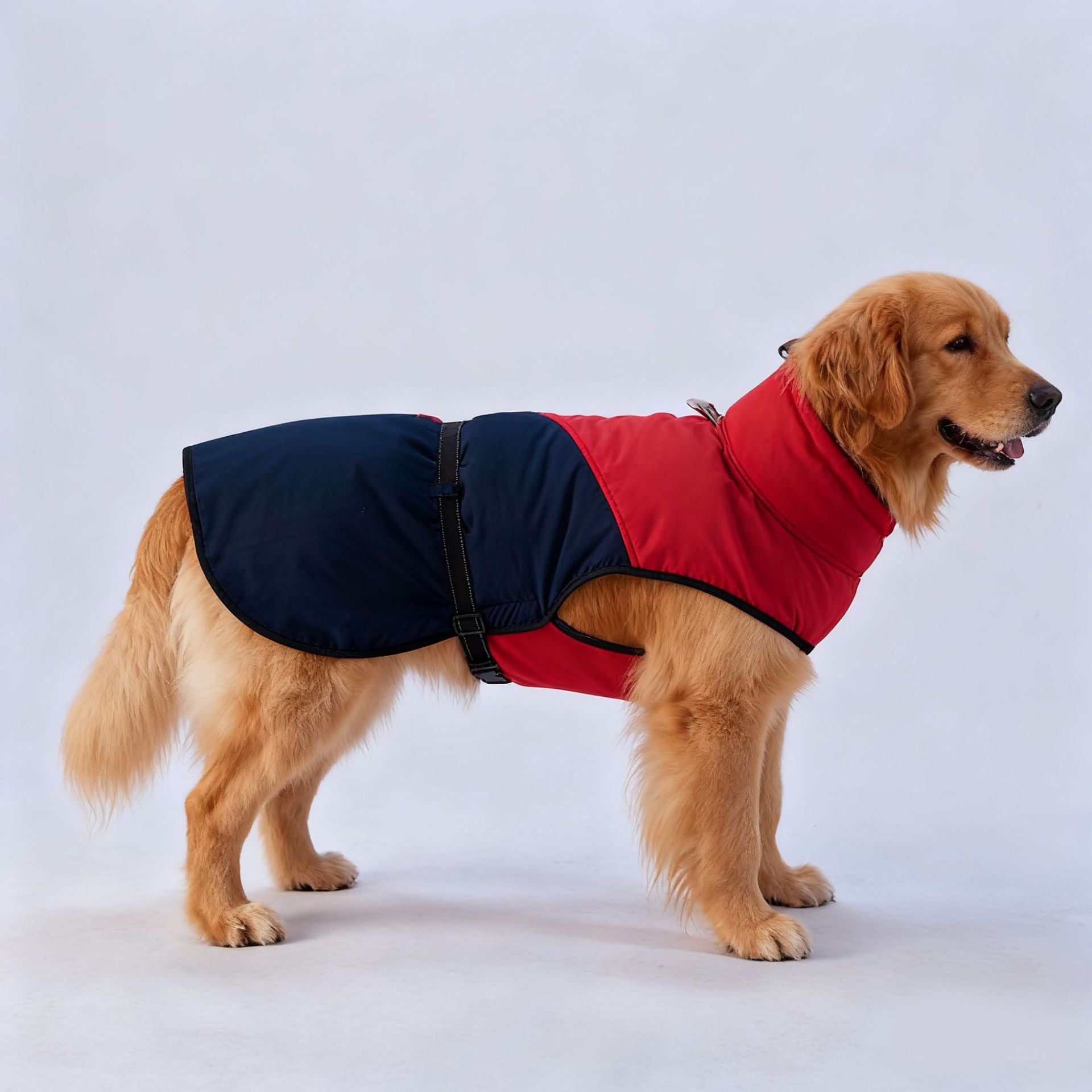 Cross-border popular pet autumn and winter clothes windproof and cold-proof puppy jacket integrated chest and back can pull dog cotton-padded clothes