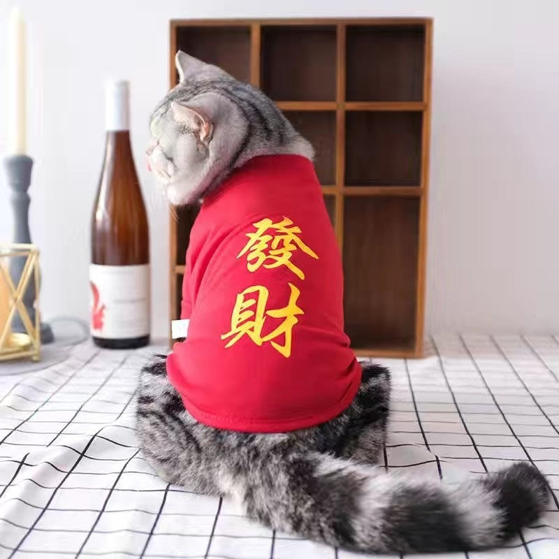 Handsome cat clothes autumn and winter clothes anti-hair loss and velvet warm kitten cloth blue cat kitten autumn and winter models