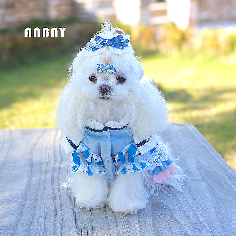 Ambeni Dog Clothes Autumn and Winter Lolita Pet Dress Small Dog Yorkshire Maltese Wholesale