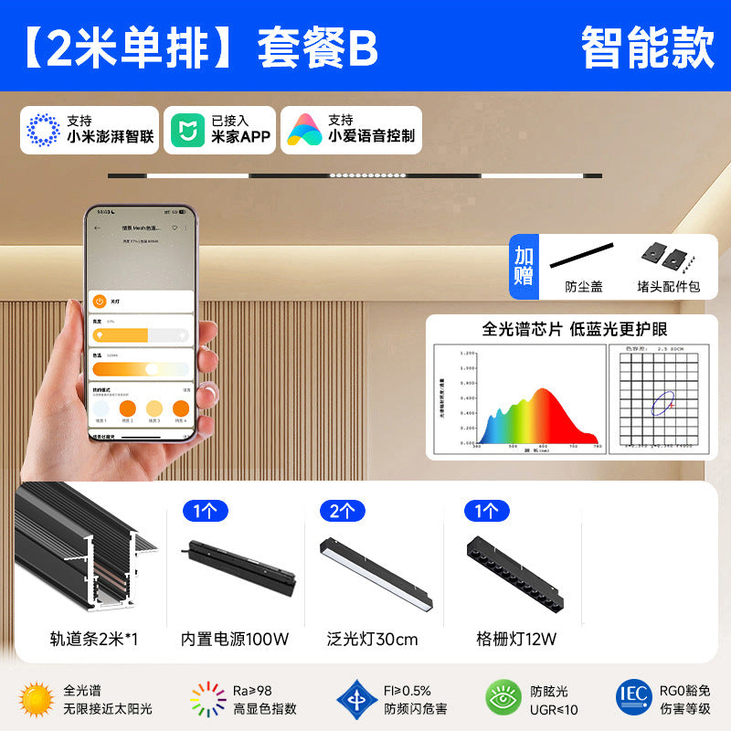 Smart Magnetic Track Light Embedded Embedded Package New Living Room No Main Light Lighting Applicable to Mobile App