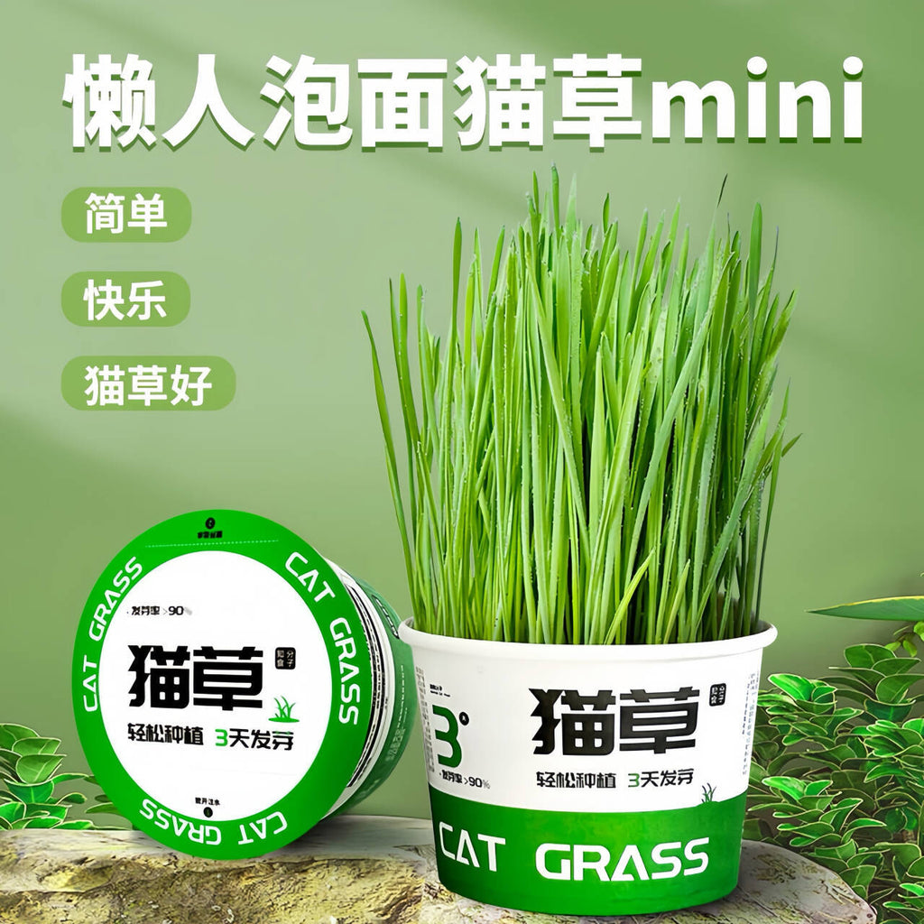 Pet Canned Cat Grass Hydroponics Soilless Removal Hairball Aid Digestion Potted Plant Instant Noodles Pet Treats Pet Supplies Cat Grass