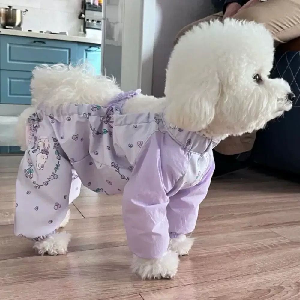 Dog dust pants walking spring and summer anti-dirty and insect-proof light four-legged leg cover leg guard small dog spring and summer clothes