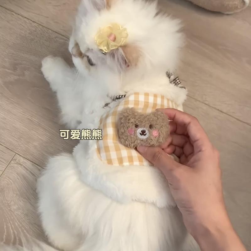 Cat clothes autumn and winter anti-hair loss warm velvet vest British short ragdoll cat blue cat pet cat clothes