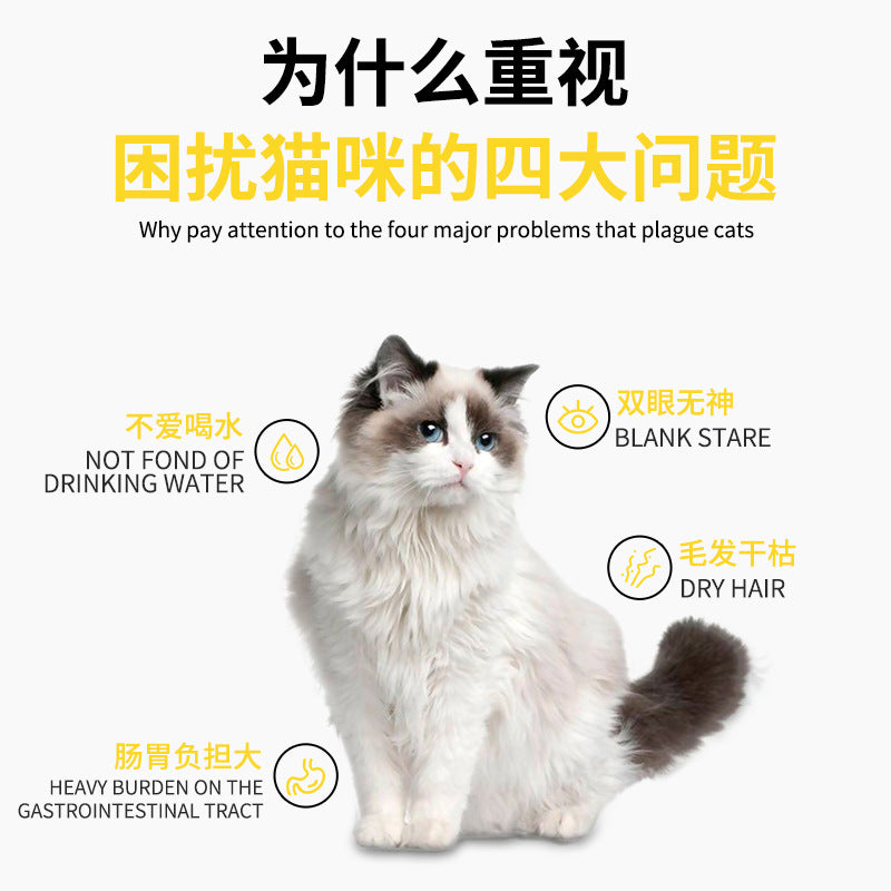 Cross-border hot-selling English pet snacks wet food into cat kitten snacks 15g cat snacks training reward cat strips