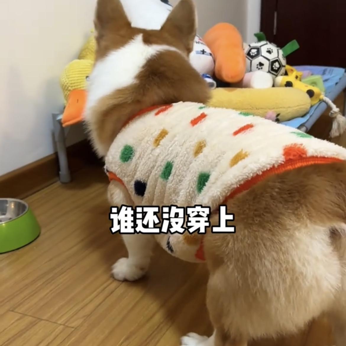Corgi dog clothes autumn and winter clothes can be traced with fleece to keep warm, cute medium and large dog Shiba Inu French fight golden fleece