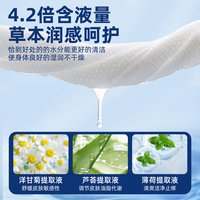 The elderly special wet tissue bed wipe fart care adult deodorization wet tissue paper family affordable package disinfection