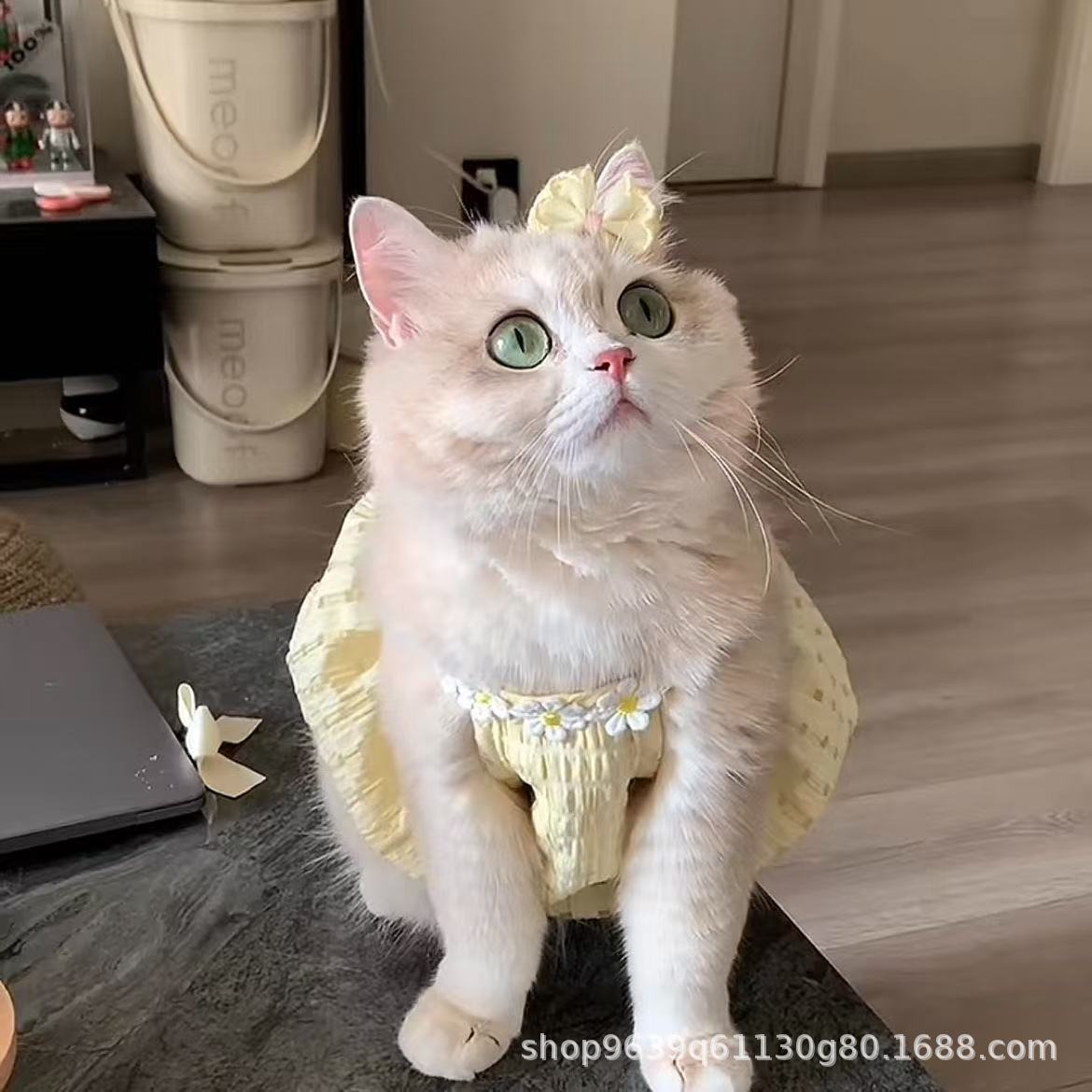 Cat summer clothes small skirt anti-hair loss cute ins gold gradient ragdoll cat British short summer suspender skirt