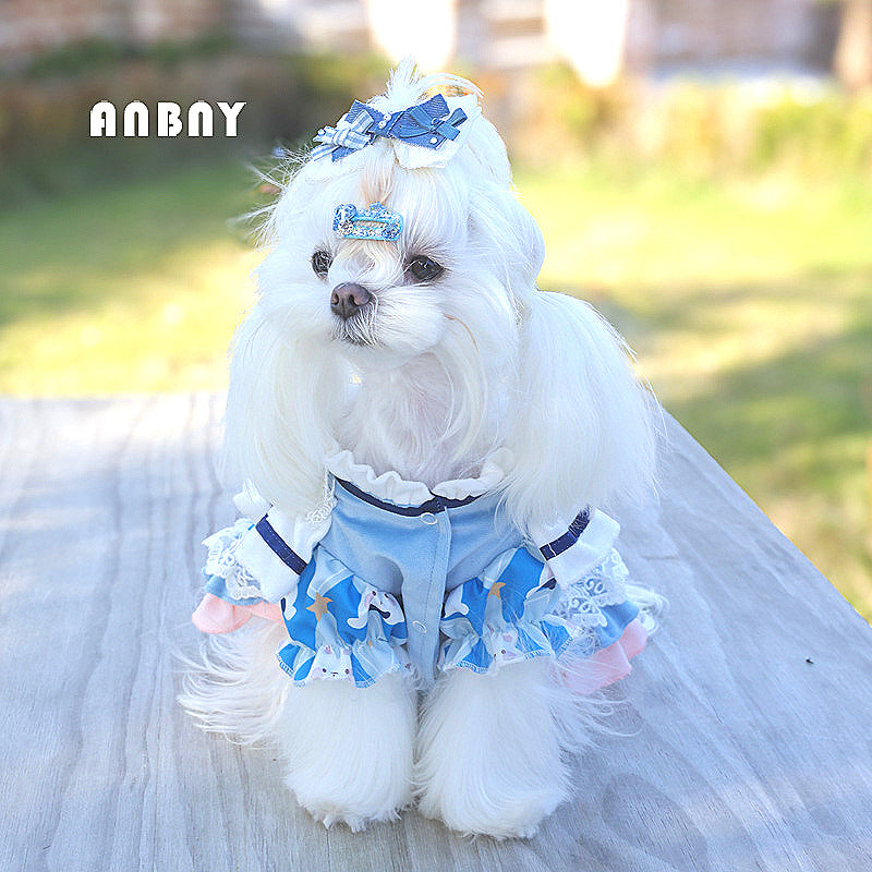 Ambeni Dog Clothes Autumn and Winter Lolita Pet Dress Small Dog Yorkshire Maltese Wholesale