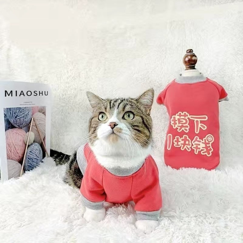 Handsome cat clothes autumn and winter clothes anti-hair loss and velvet warm kitten cloth blue cat kitten autumn and winter models
