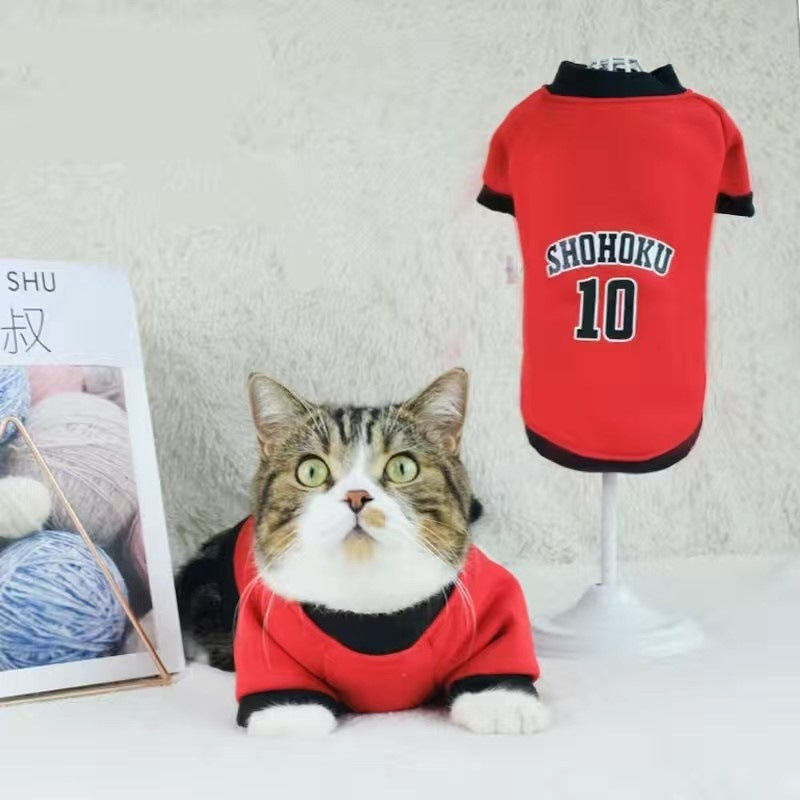 Handsome cat clothes autumn and winter clothes anti-hair loss and velvet warm kitten cloth blue cat kitten autumn and winter models
