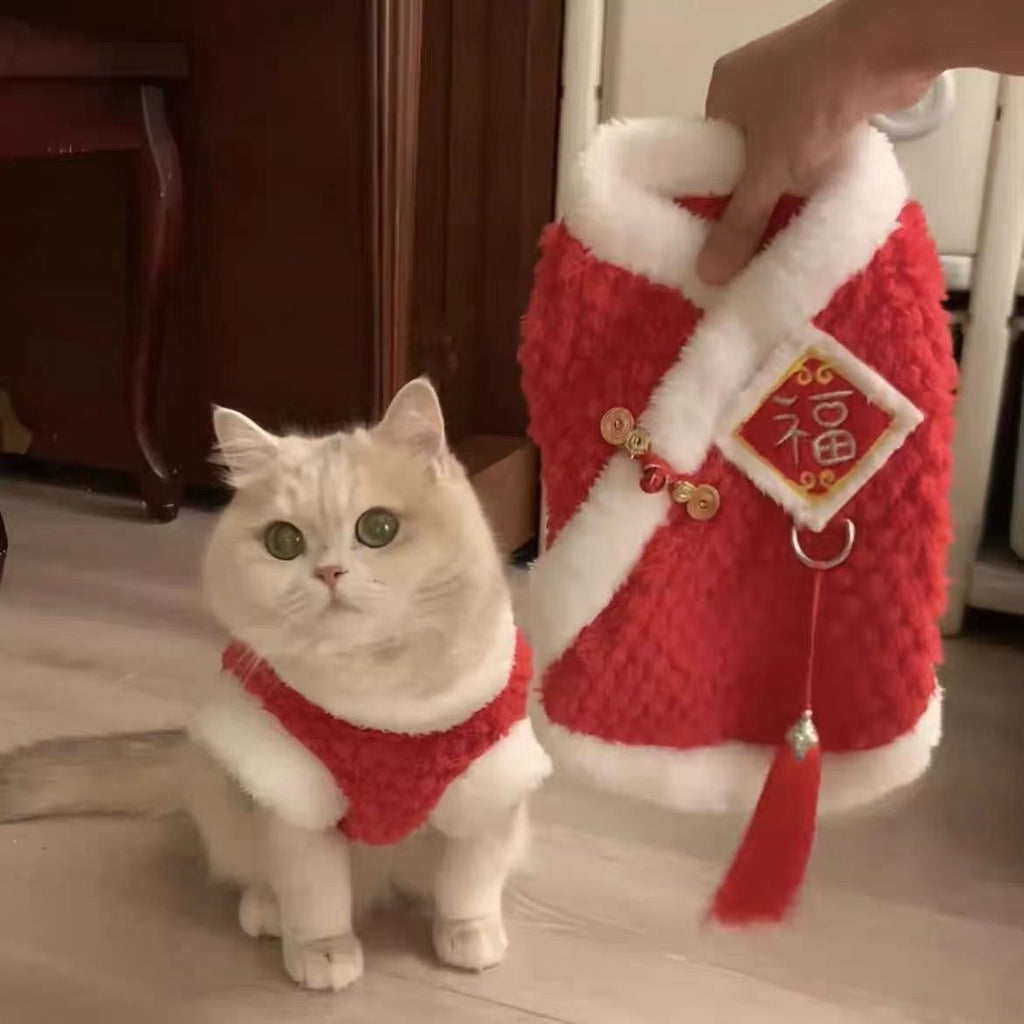 Cat New Year's clothes autumn and winter cute ins blue and gold gradient puppet cat blue cat red Chinese New Year festive clothes