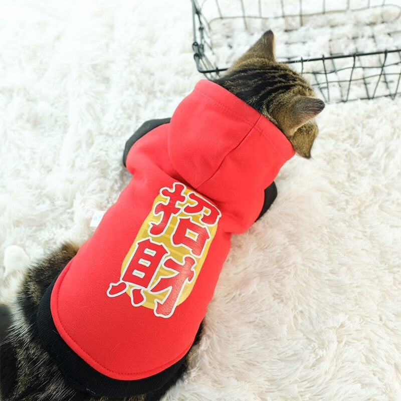 Handsome cat clothes autumn and winter clothes anti-hair loss and velvet warm kitten cloth blue cat kitten autumn and winter models