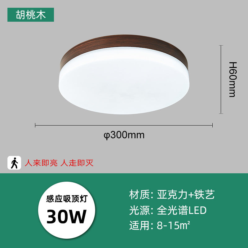 LED intelligent induction ceiling light round white human body induction light bedroom light balcony corridor light cross-border manufacturers