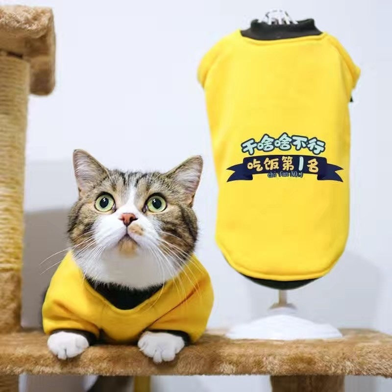 Handsome cat clothes autumn and winter clothes anti-hair loss and velvet warm kitten cloth blue cat kitten autumn and winter models