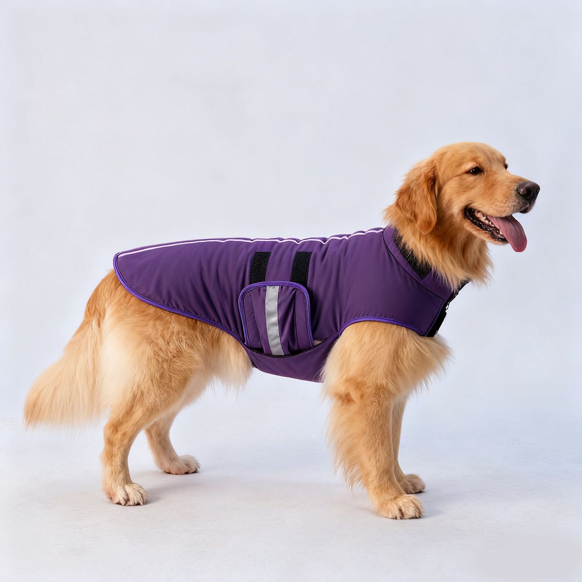Cross-border popular pet autumn and winter clothes windproof and cold-proof puppy jacket integrated chest and back can pull dog cotton-padded clothes