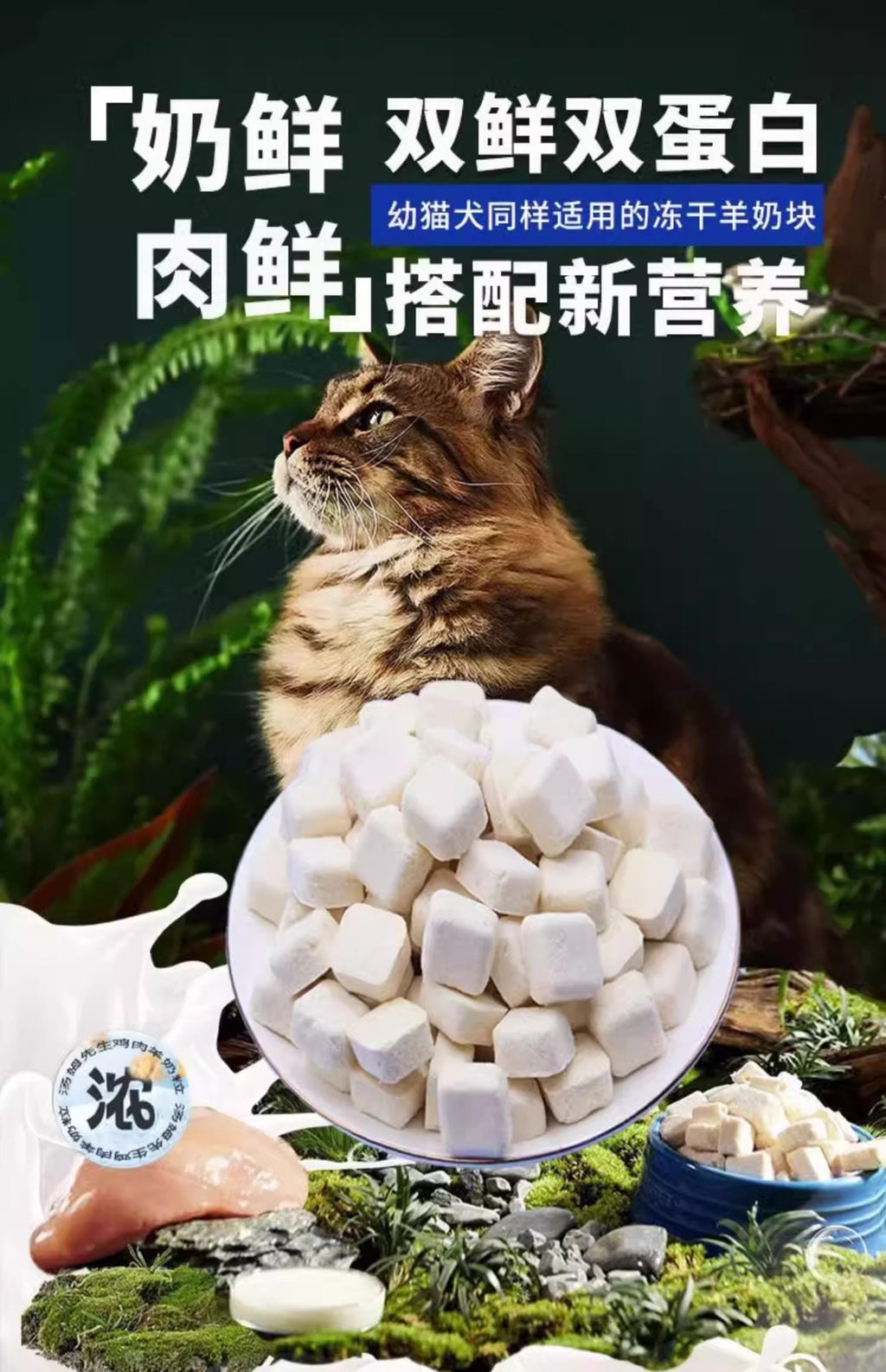 Cat snacks Freeze-dried goat milk kernels Cheese cubes Fatten and nourish hair and gills into complementary food for kittens Mixed with food Pet snacks