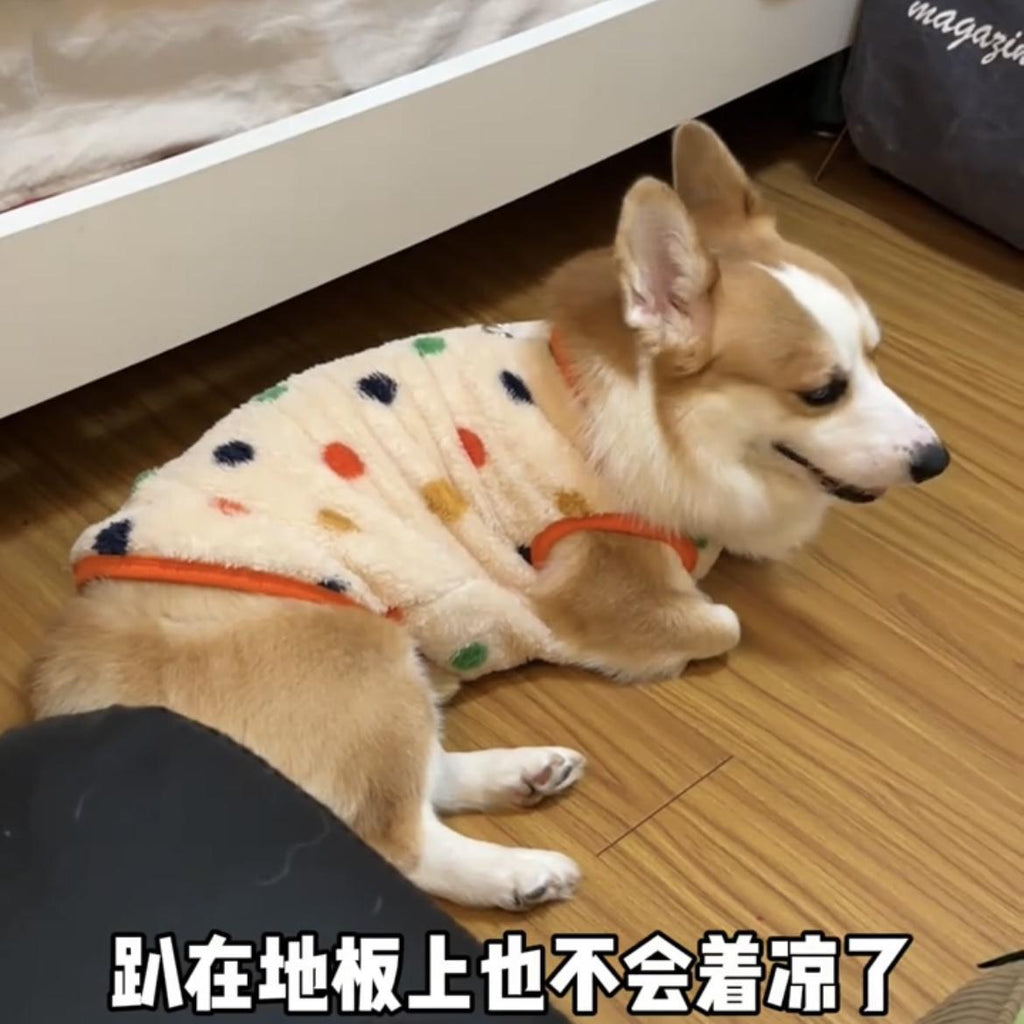 Corgi dog clothes autumn and winter clothes can be traced with fleece to keep warm, cute medium and large dog Shiba Inu French fight golden fleece