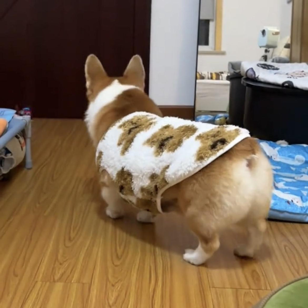 Corgi dog clothes autumn and winter clothes can be traced with fleece to keep warm, cute medium and large dog Shiba Inu French fight golden fleece