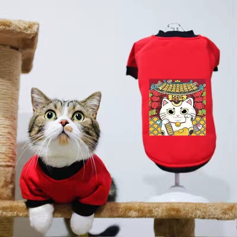 Handsome cat clothes autumn and winter clothes anti-hair loss and velvet warm kitten cloth blue cat kitten autumn and winter models