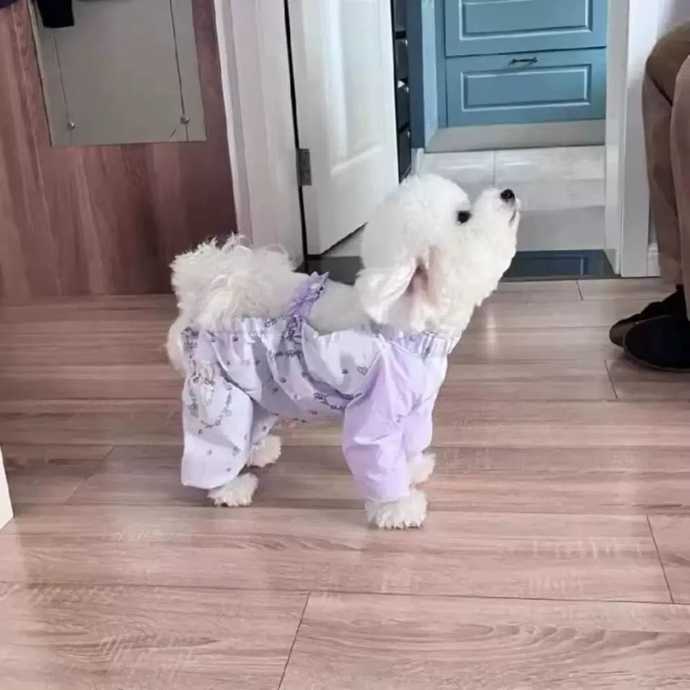 Dog dust pants walking spring and summer anti-dirty and insect-proof light four-legged leg cover leg guard small dog spring and summer clothes