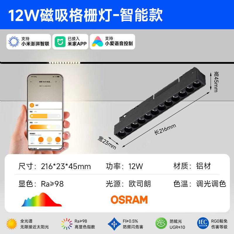 Smart Magnetic Track Light Embedded Embedded Package New Living Room No Main Light Lighting Applicable to Mobile App