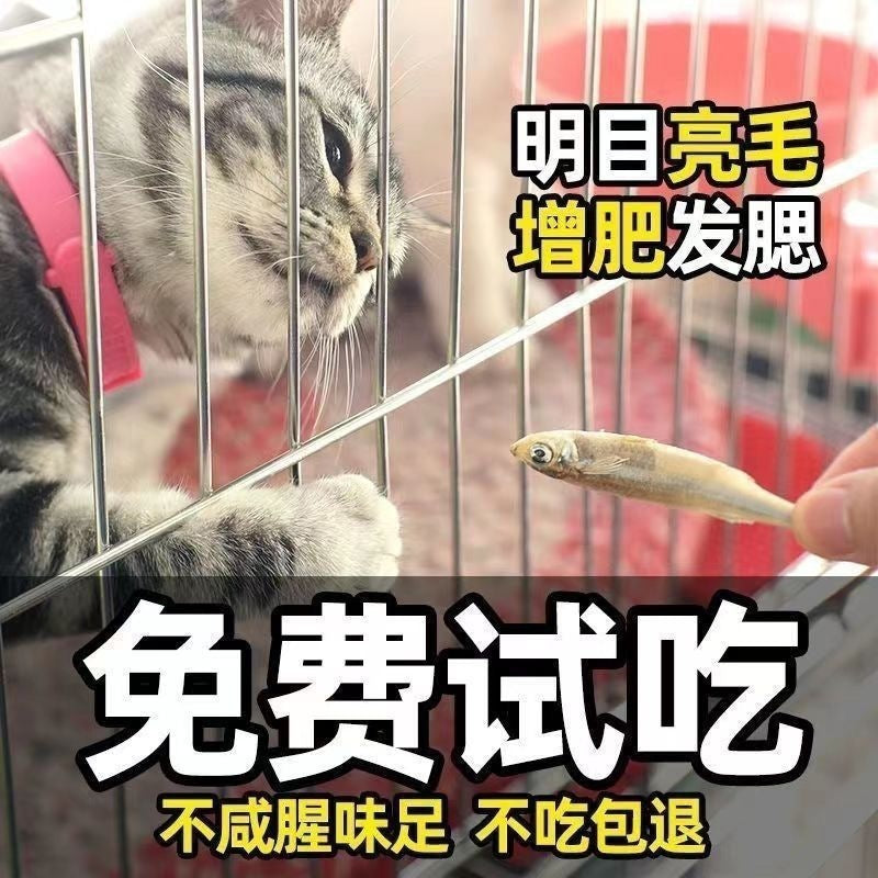 Pet snacks, dried small fish, light and dry unsalted male fish, cats gain weight, hair and gills, nutrition and calcium, cat food, hairdressing and cat food