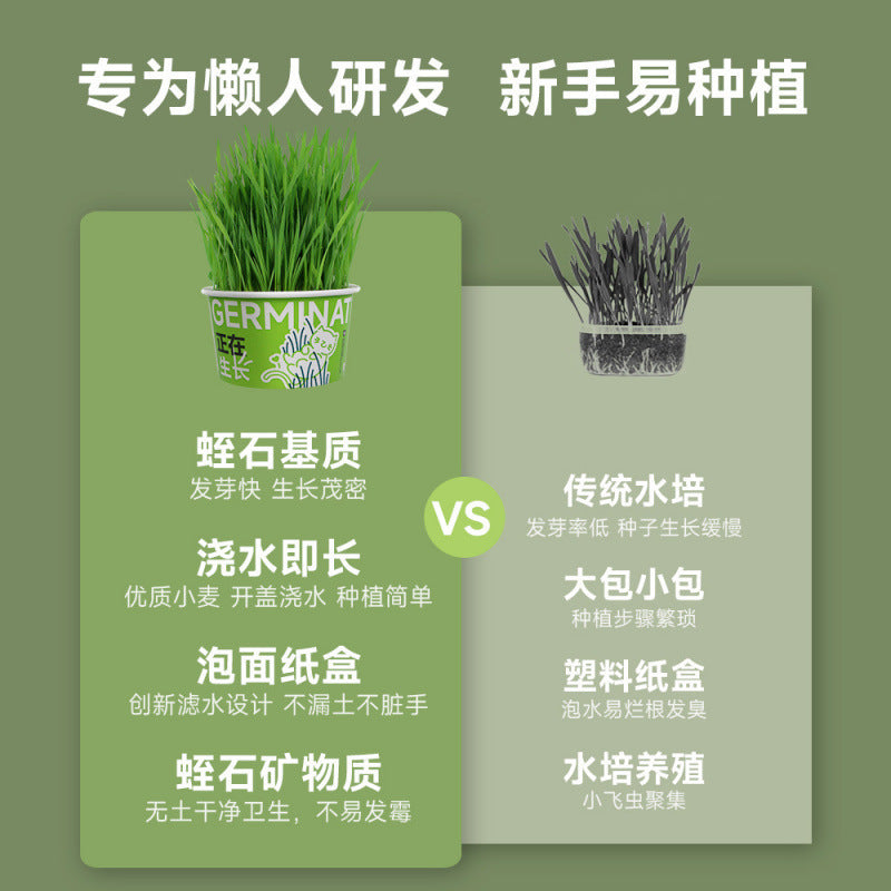Pet Canned Cat Grass Hydroponics Soilless Removal Hairball Aid Digestion Potted Plant Instant Noodles Pet Treats Pet Supplies Cat Grass