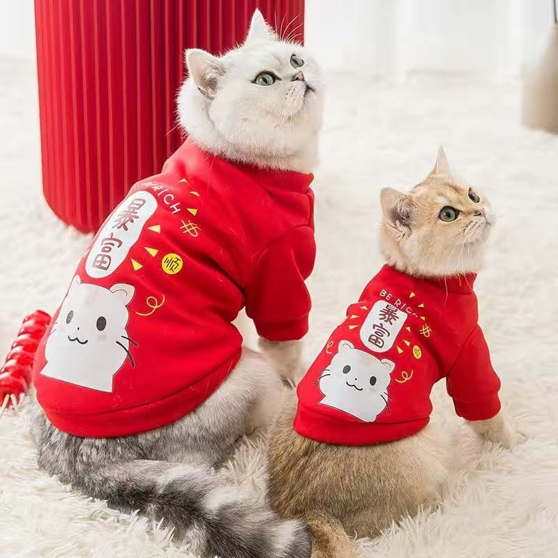Handsome cat clothes autumn and winter clothes anti-hair loss and velvet warm kitten cloth blue cat kitten autumn and winter models