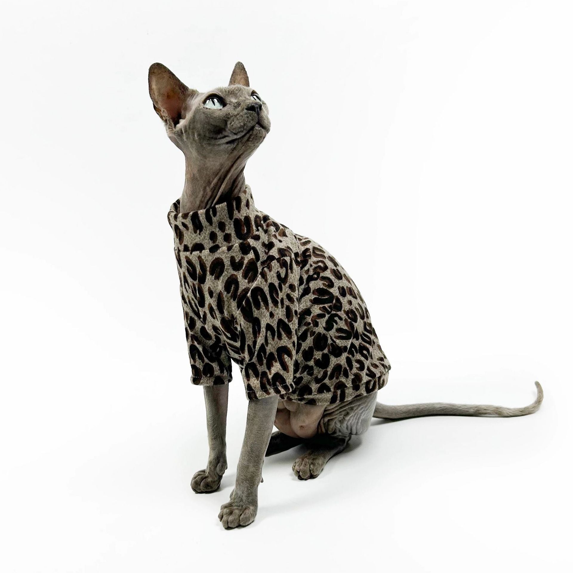 Winter hairless cat clothes Sphinx Devon air conditioner clothes Thin bottoming shirt Leopard print trendy cool cat four-legged clothes