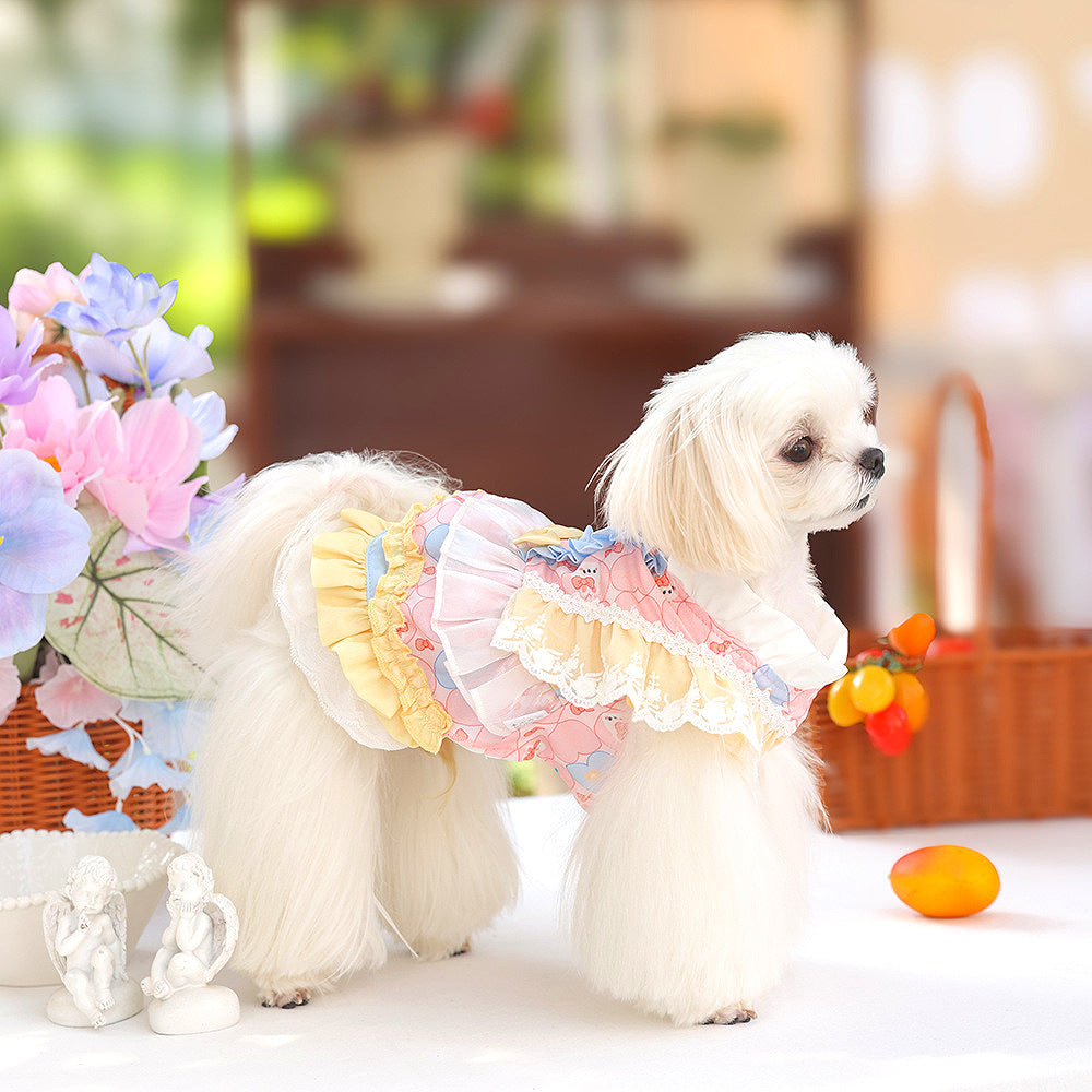 A piece of hair Lolita puppy clothes pet clothes soft and comfortable small dog princess dress dog clothes