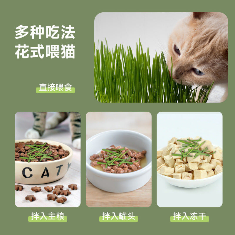 Pet Canned Cat Grass Hydroponics Soilless Removal Hairball Aid Digestion Potted Plant Instant Noodles Pet Treats Pet Supplies Cat Grass
